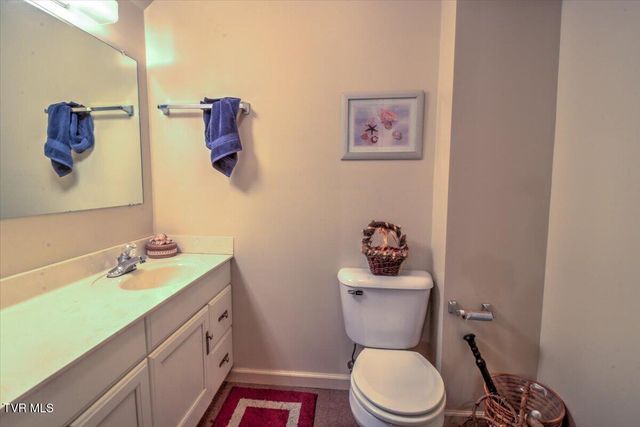180 Misty Woods Drive, Blountville, TN 37617