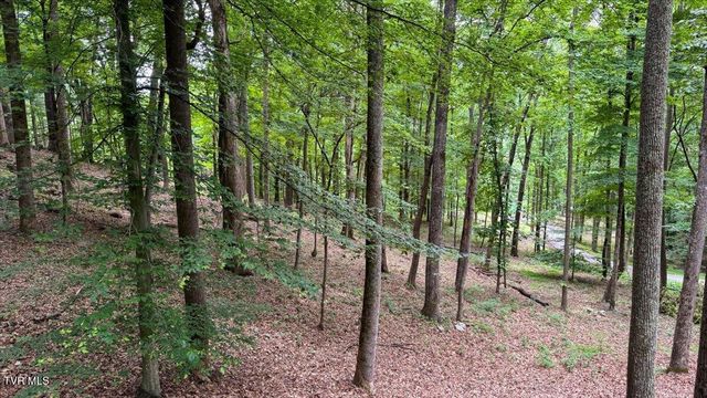 180 Misty Woods Drive, Blountville, TN 37617