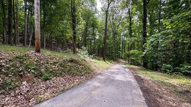 180 Misty Woods Drive, Blountville, TN 37617