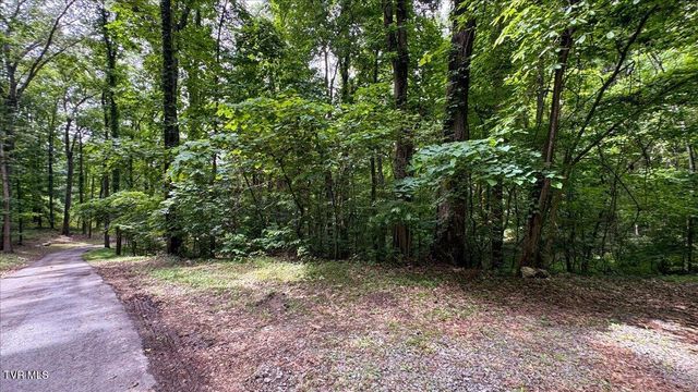 180 Misty Woods Drive, Blountville, TN 37617