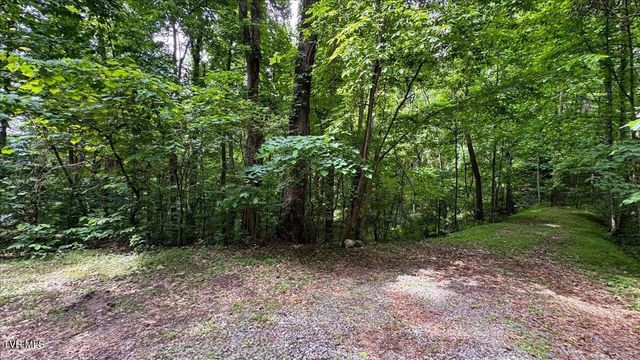 180 Misty Woods Drive, Blountville, TN 37617