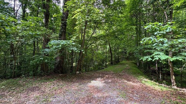 180 Misty Woods Drive, Blountville, TN 37617