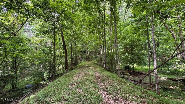 180 Misty Woods Drive, Blountville, TN 37617