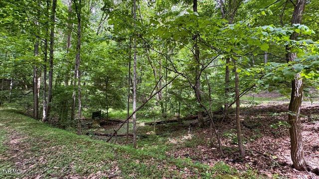 180 Misty Woods Drive, Blountville, TN 37617