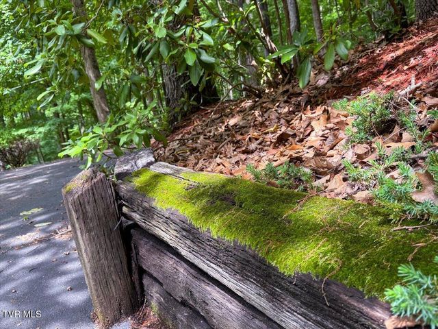 180 Misty Woods Drive, Blountville, TN 37617