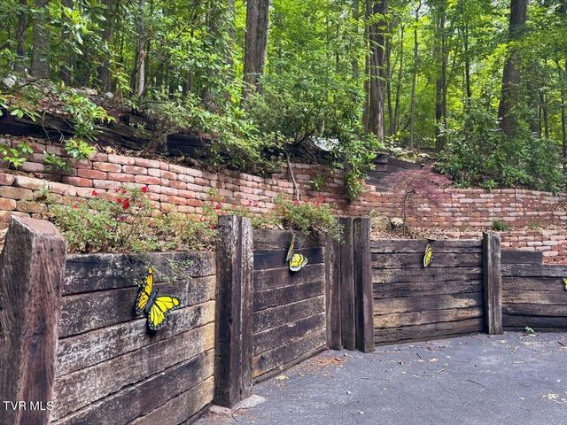 180 Misty Woods Drive, Blountville, TN 37617