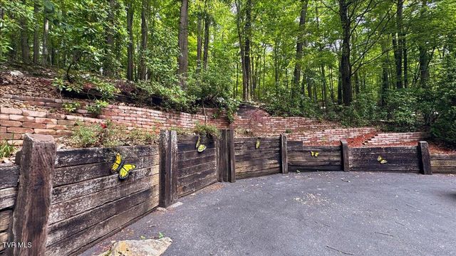 180 Misty Woods Drive, Blountville, TN 37617