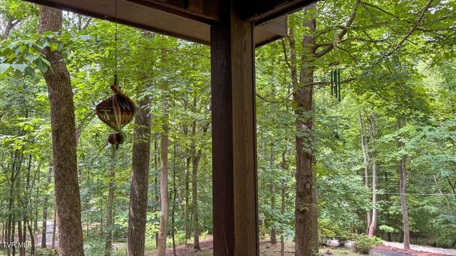 180 Misty Woods Drive, Blountville, TN 37617