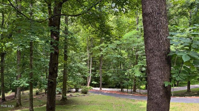 180 Misty Woods Drive, Blountville, TN 37617