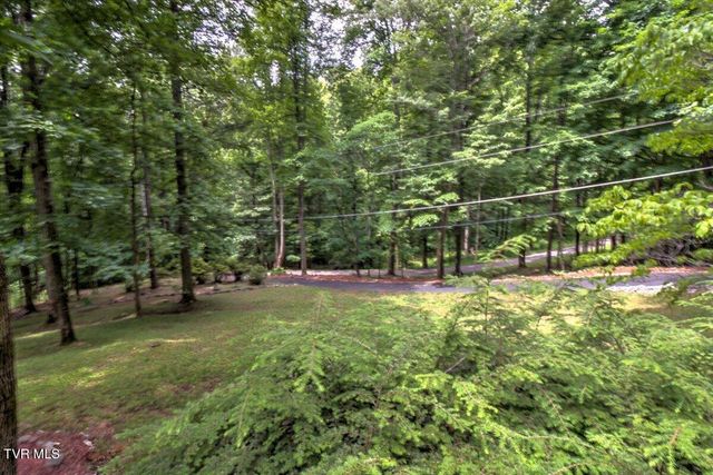 180 Misty Woods Drive, Blountville, TN 37617