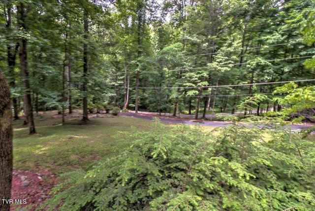 180 Misty Woods Drive, Blountville, TN 37617