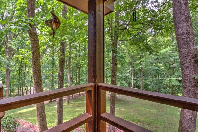 180 Misty Woods Drive, Blountville, TN 37617
