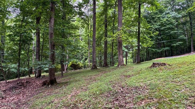 180 Misty Woods Drive, Blountville, TN 37617