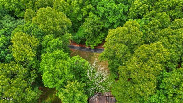 180 Misty Woods Drive, Blountville, TN 37617
