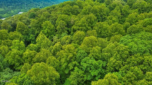 180 Misty Woods Drive, Blountville, TN 37617
