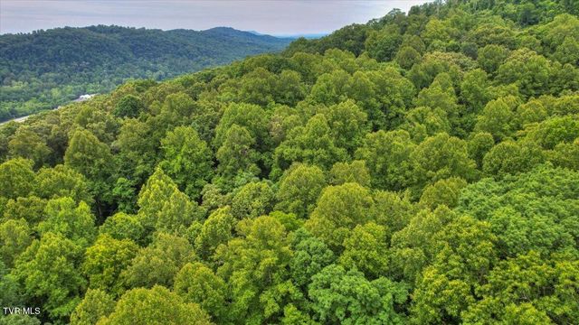 180 Misty Woods Drive, Blountville, TN 37617