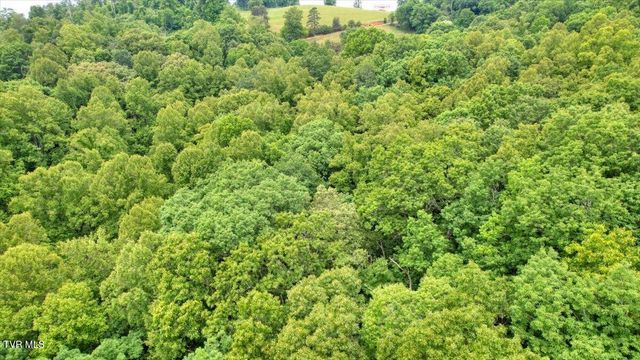 180 Misty Woods Drive, Blountville, TN 37617