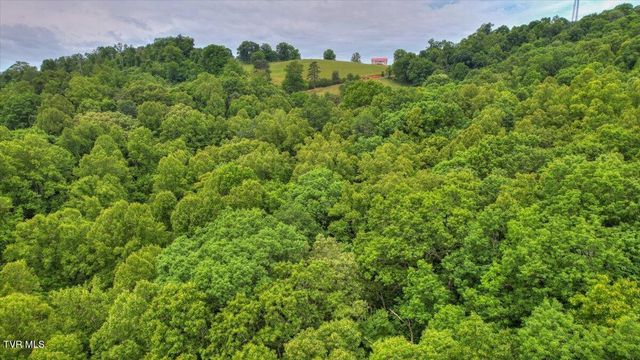 180 Misty Woods Drive, Blountville, TN 37617