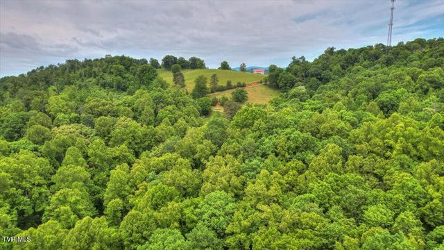 180 Misty Woods Drive, Blountville, TN 37617