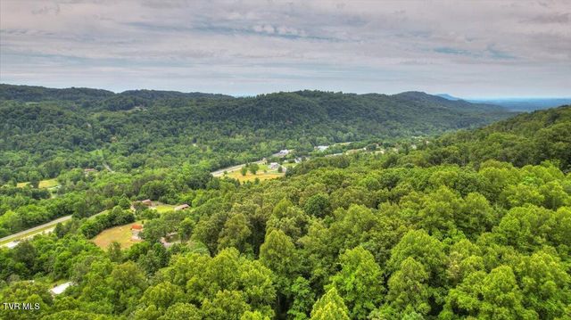 180 Misty Woods Drive, Blountville, TN 37617