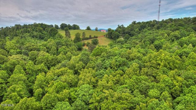 180 Misty Woods Drive, Blountville, TN 37617