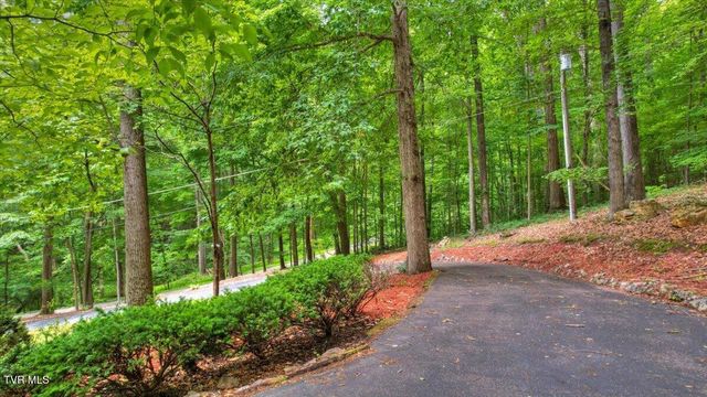 180 Misty Woods Drive, Blountville, TN 37617