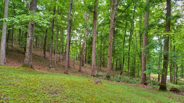 180 Misty Woods Drive, Blountville, TN 37617
