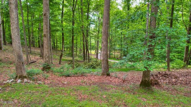 180 Misty Woods Drive, Blountville, TN 37617
