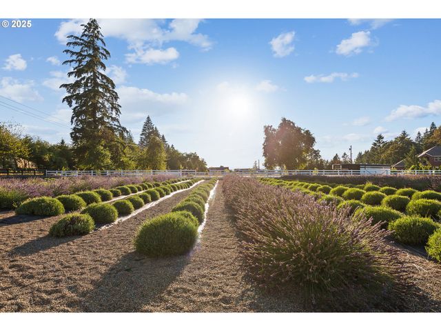 19012 Ne 139TH St, Brush Prairie, WA 98606