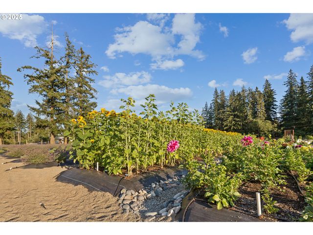 19012 Ne 139TH St, Brush Prairie, WA 98606