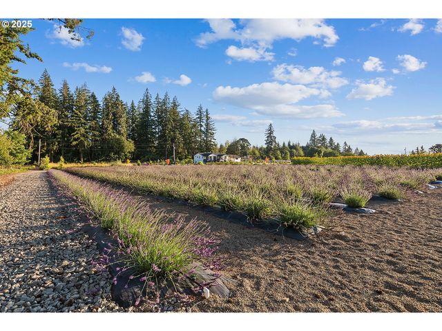 19012 Ne 139TH St, Brush Prairie, WA 98606