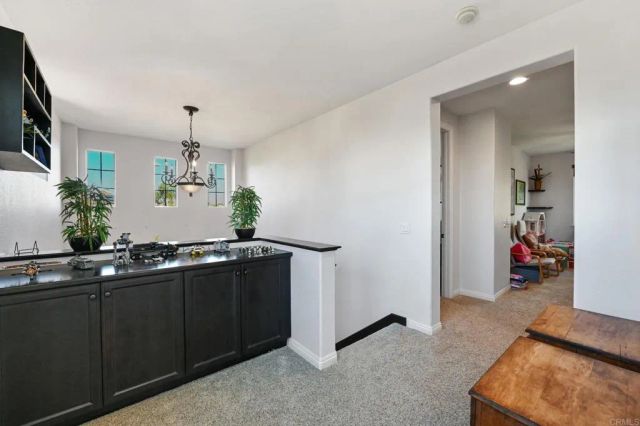 1005 Canvasback Drive, Carlsbad, CA 92011