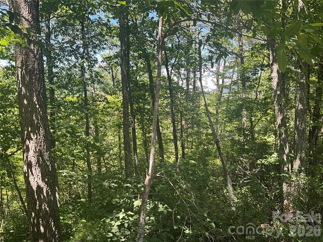 Lot 67 TreeTops Lane, Lake Lure, NC 28746