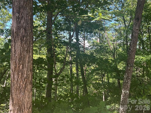 Lot 67 TreeTops Lane, Lake Lure, NC 28746