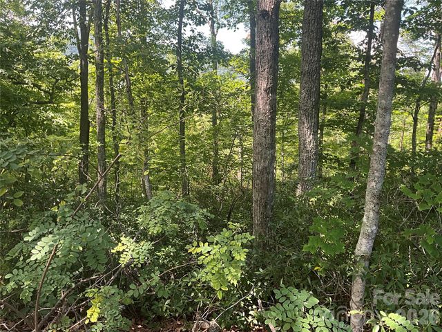 Lot 67 TreeTops Lane, Lake Lure, NC 28746
