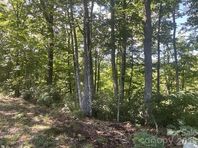 Lot 67 TreeTops Lane, Lake Lure, NC 28746