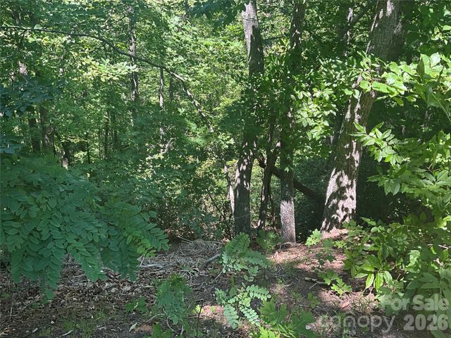 Lot 67 TreeTops Lane, Lake Lure, NC 28746
