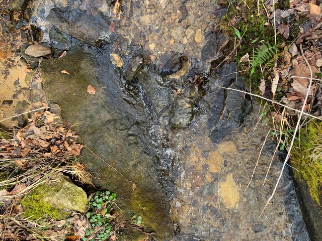 408 Hwy. 421, Mckee, KY 40447