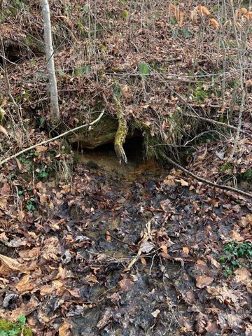 408 Hwy. 421, Mckee, KY 40447