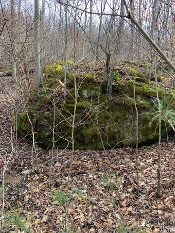 408 Hwy. 421, Mckee, KY 40447