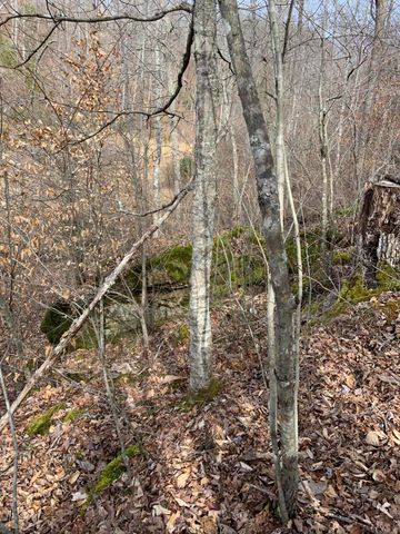 408 Hwy. 421, Mckee, KY 40447