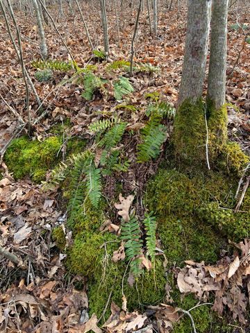 408 Hwy. 421, Mckee, KY 40447