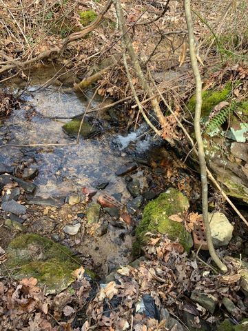 408 Hwy. 421, Mckee, KY 40447