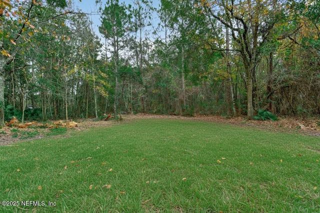 2153 HIBISCUS Avenue, Middleburg, FL 32068