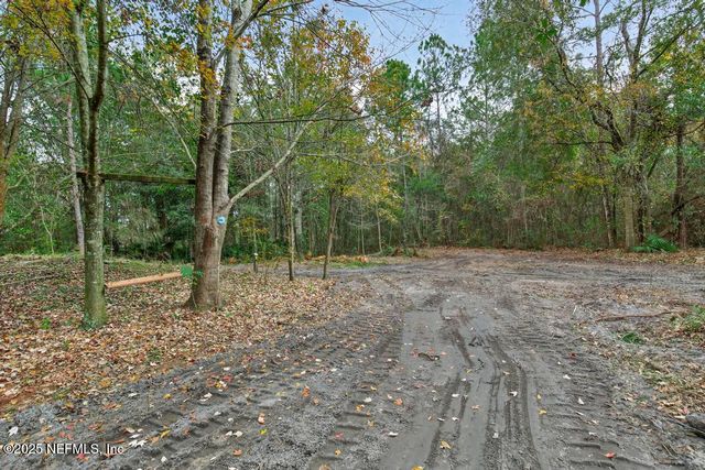 2153 HIBISCUS Avenue, Middleburg, FL 32068