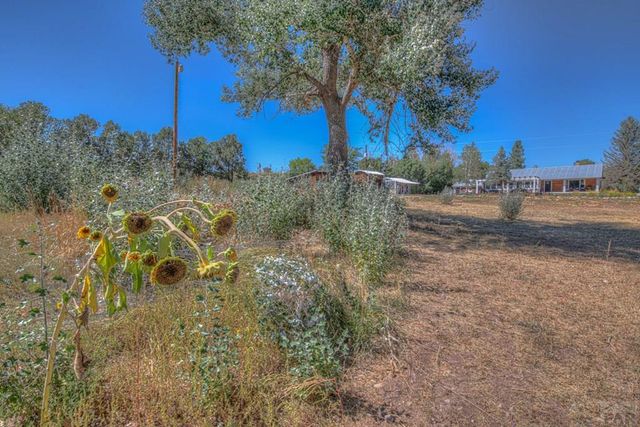 317 W Virginia St., La Veta, CO 81055