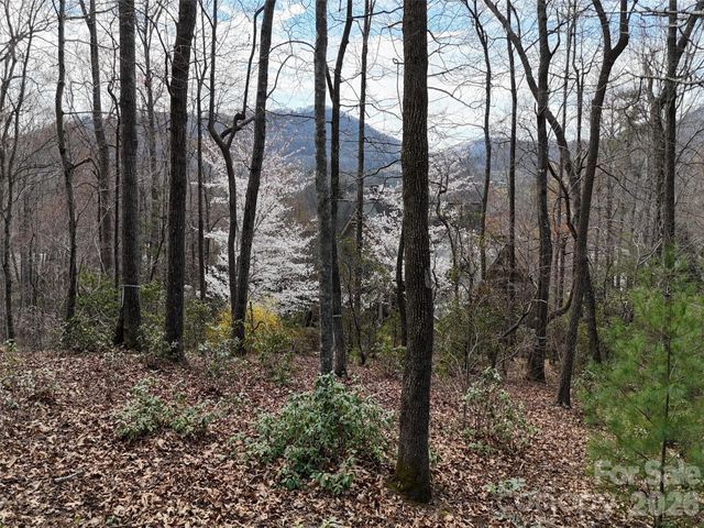 709 Craggyside Lane 24, Arden, NC 28704