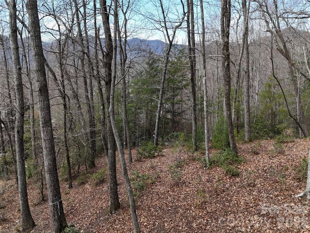 709 Craggyside Lane 24, Arden, NC 28704