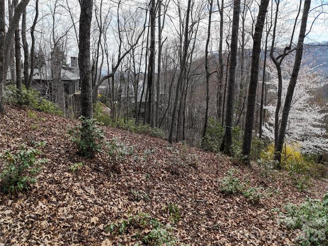 709 Craggyside Lane 24, Arden, NC 28704