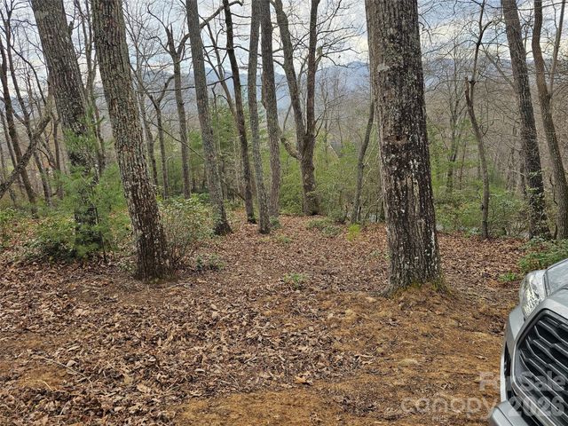 709 Craggyside Lane 24, Arden, NC 28704